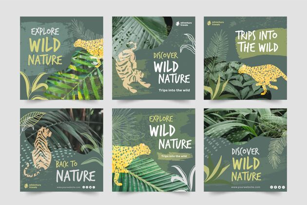 自然Instagram发布了一个关于野生植物和动物的集合野生猎豹包