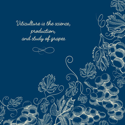 葡萄抽象自然素描蓝色模板叶子布局花卉