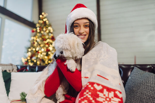 圣诞老人除夕夜 一个抱着小狗的女孩坐在沙发上梗小狗狗
