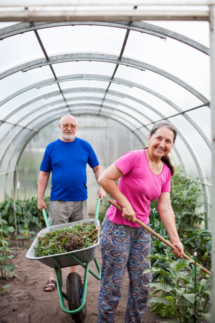 女人两位老人在温室里用花园的配件妻子退休丈夫