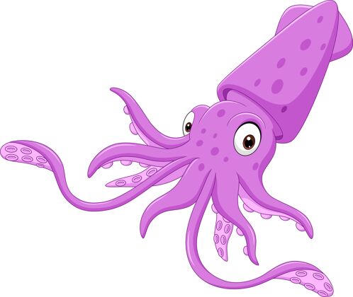 海洋生物卡通紫鱿鱼隔离野生动物可爱动物