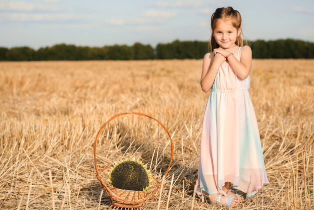 欢乐在一个温暖的夏夜 一个可爱的五岁小女孩拿着篮子里的向日葵在田野里摆姿势孩子花园乡村