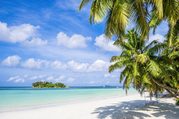 风景单一的热带岛屿 蓝天碧水 塞舌尔夏天小户外