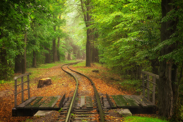 小径美丽的铁路轨道在秋天的一个城市公园浪漫有轨电车铁路