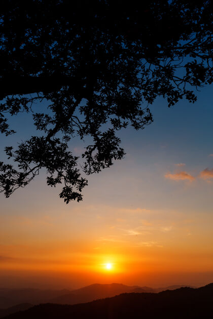 戏剧性的美丽的树剪影在戏剧性的日落天空地平线光黄昏