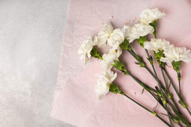 花束一束白色康乃馨放在粉红色的纸上粉彩工作站安排