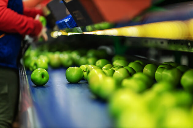 洗涤水果仓库包装线上的绿色美味苹果食品工业浮动生产线过程