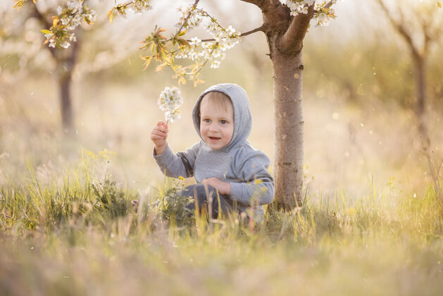 积极穿着灰色运动衫 头戴风帽的金发小男孩坐在开花树下的绿草里树男孩花园