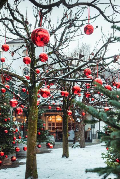 雪奥地利萨尔茨堡 装饰非常漂亮的圣诞树上有大量的大红球奥地利冬季户外