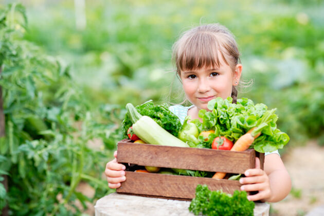 板条箱小女孩手里拿着一篮子丰收的有机蔬菜和根茎上的有机生物农场.秋天蔬菜收获根健康卷心菜