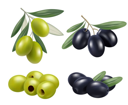 健康橄榄现实的希腊语天然食物橄榄枝放松温泉油的象征食物花卉健康