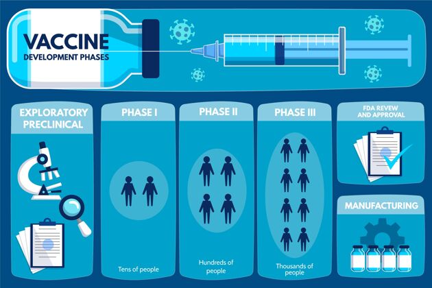 预防冠状病毒疫苗阶段信息图病毒冠状病毒医疗保健