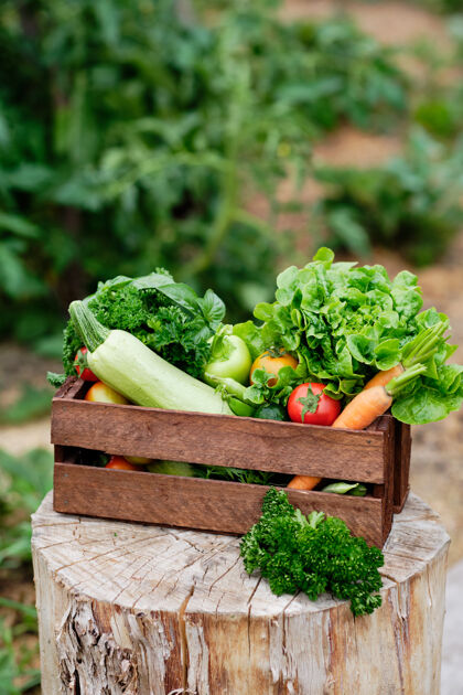 家庭篮子里装满了收获的有机蔬菜和根上的有机生物农场.秋天蔬菜收获蔬菜乡村板条箱