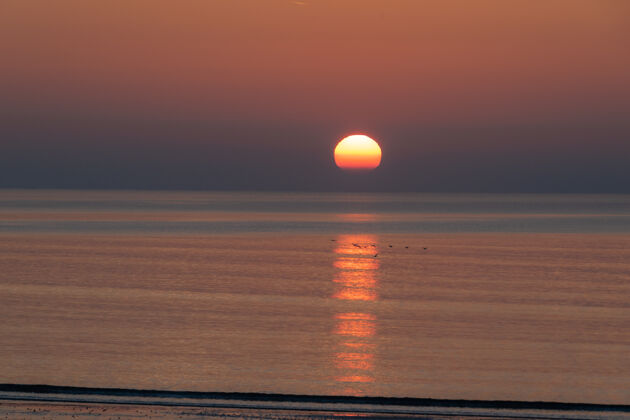 黄昏美丽的日出海洋非常清晨在大西洋倒影风景日出