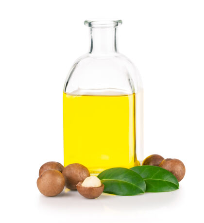 蛋白质一瓶坚果油和澳洲坚果 叶子隔离在白色背景上健康种子烤