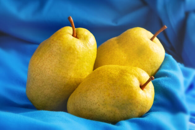 多汁的三个黄色成熟多汁的梨 背景是蓝色的美味成熟的健康