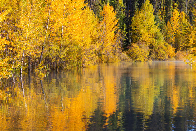美丽的自然秋天美丽的湖泊美国风景山