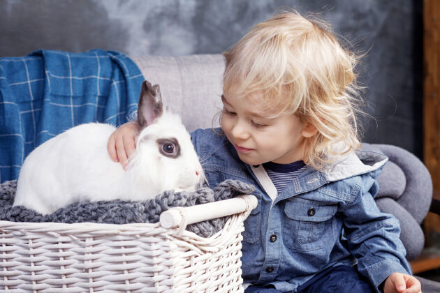 孩子可爱的小男孩和一只白色的小狗玩耍兔子男孩看着一只兔子春天美丽房间