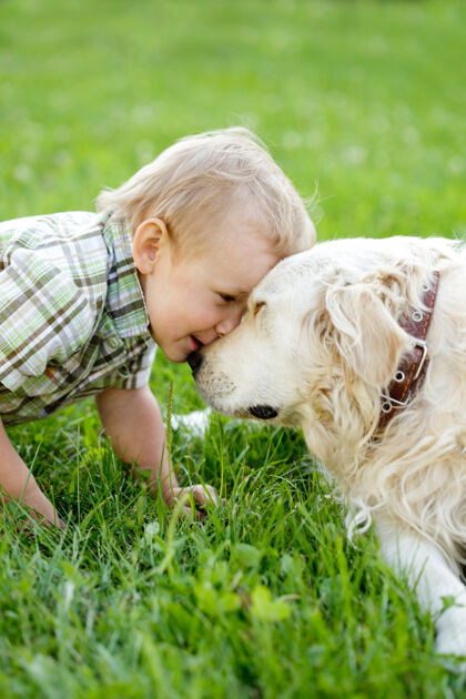 草可爱的蹒跚学步金发男孩与金色猎犬户外快乐快乐游戏