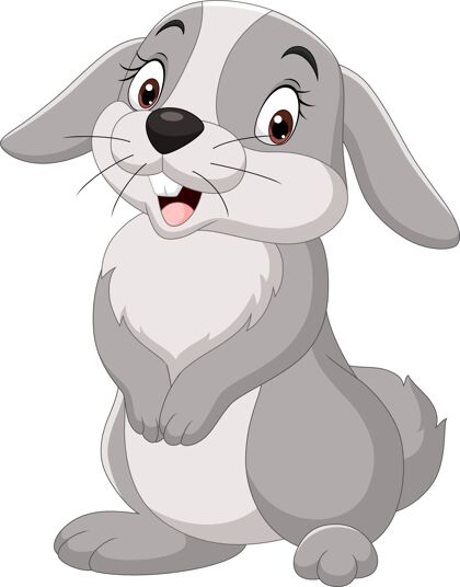 田野卡通搞笑兔子隔离在白色背景上兔子小搞笑