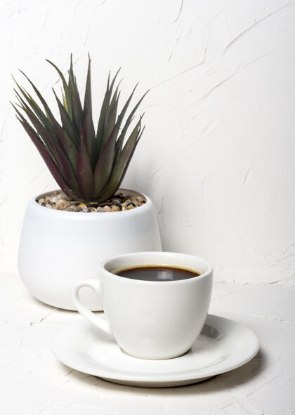 光白色抽象背景上带有黑色芳香咖啡的白色杯子 背景上有盆花液体温暖饮料