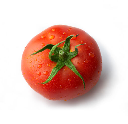蔬菜西红柿单滴滴有机生
