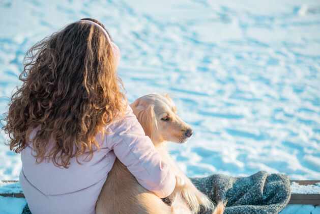 宠物年轻漂亮的女人坐在那里拥抱她的金色猎犬的画像雪户外季节