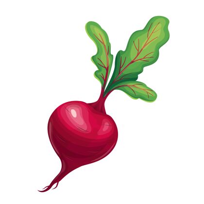 手甜菜蔬菜图标插图颜色甜菜素食