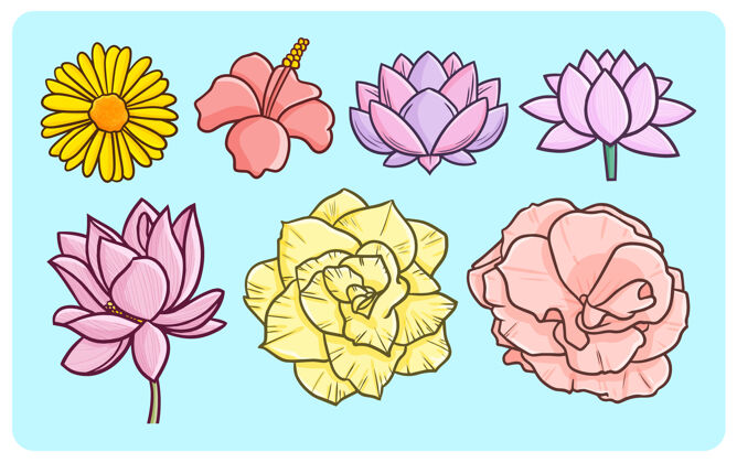 植物有趣和美丽的花朵在简单的涂鸦风格娱乐阳光雏菊花