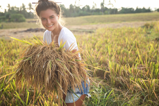 收获生态旅游还是日常生活工作快乐女农场主在稻田收割情感大米印度尼西亚