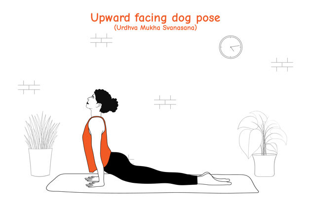 健身做瑜伽体式的女人向上面对狗的姿势或乌尔德瓦穆哈斯瓦纳萨纳在平面手绘风格姿势冥想体式