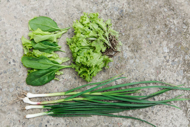 厨房新鲜的生菜 菠菜 葱从花园的石床上有机墙饮食与健活方式概念.top查看市场营养素滋养
