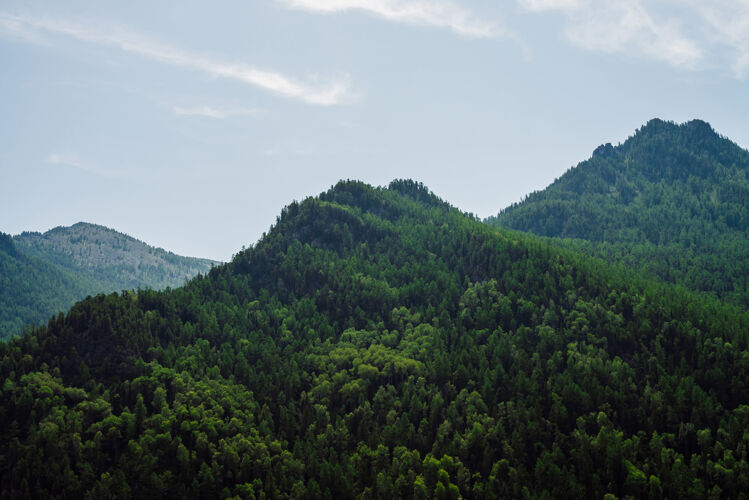 景观在湛蓝的天空下 绿色的山峦被森林完全覆盖 景色真棒山峰树旅游