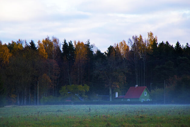 外观乡村房屋和森林 欧洲山谷里的雾气黄昏美丽的结构