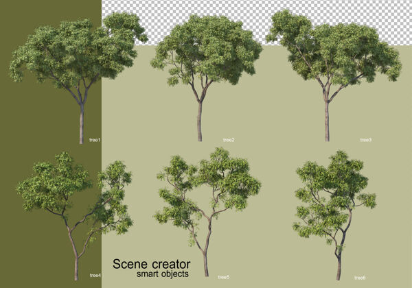 抽象各种树木的3d渲染隔离三维渲染环境树叶