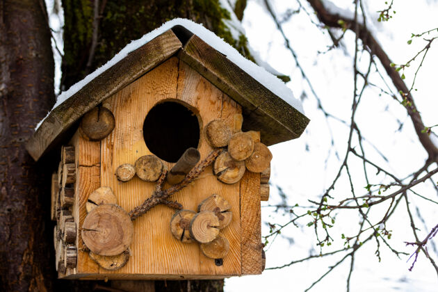 天气早春的果树屋顶上有雪的木制鸟舍保暖鸟舍寒冷