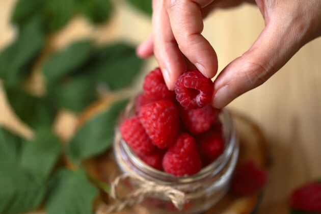 浆果覆盆子手新鲜的森林树莓甜点新鲜多汁