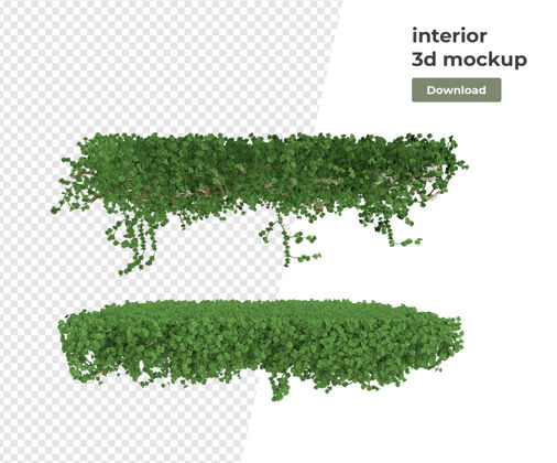 植物各种植物装饰3d渲染隔离场景创作者盆栽花盆
