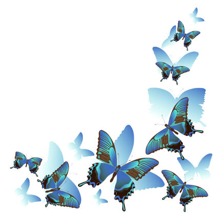 装饰蓝色蝴蝶和剪影孤立在白色昆虫翅膀植物