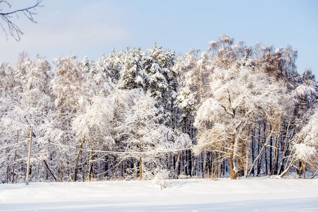 冰冻冬天的风景如画 下午的天空蔚蓝冰平静冒险