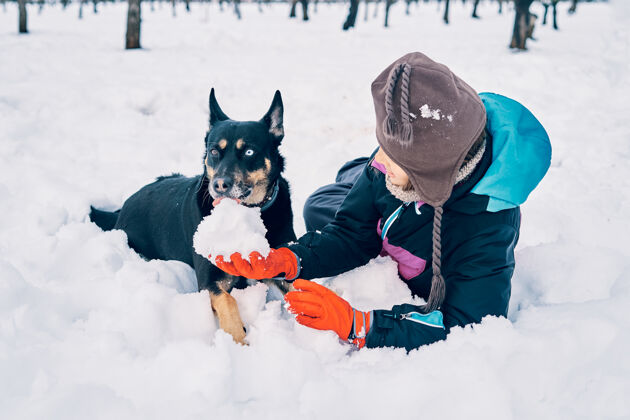 狗一个戴着暖和的帽子和手套的女孩躺在雪地里 和一只每种颜色都有一只眼睛的狗玩耍寒冷欢呼户外
