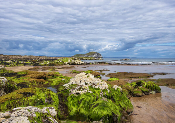 海湾在北伯威克的克雷格利斯岛上 云彩迷人 苏格兰北部大海北海悬崖英国