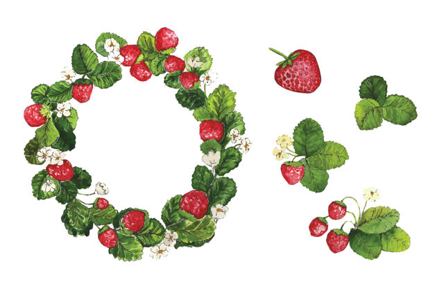 自然水彩小丑浆果花环套草莓和浆果叶子草莓浆果