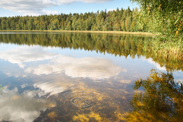 鱼森林垂钓湖水清澈树干净的水人群