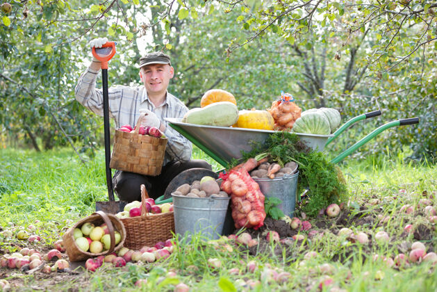花园园子里种着蔬菜和水果的人收获雄性采集