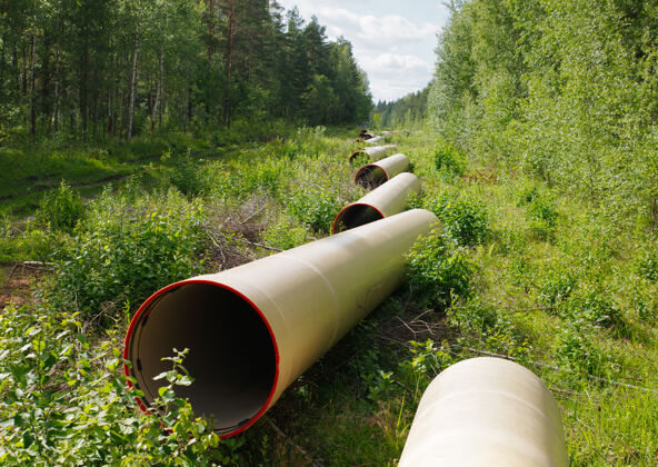管道穿过绿树的煤气管道生产安装土地