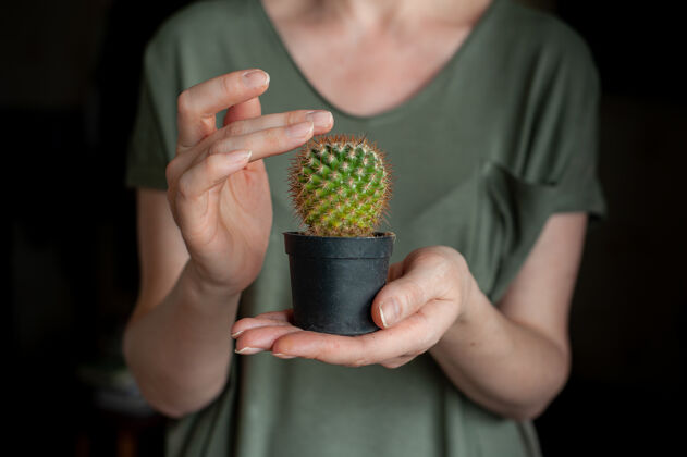 植物学家庭园艺一个女人把一个小仙人掌放在一个黑罐子里植物园艺绿色