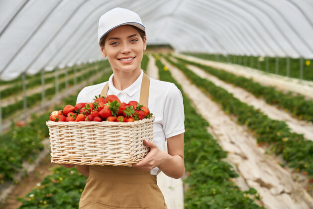 生长女园丁拿着装有草莓的柳条篮员工种植妇女