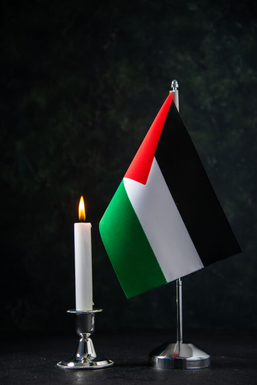 光黑色的巴勒斯坦国旗正面图黑暗死亡火