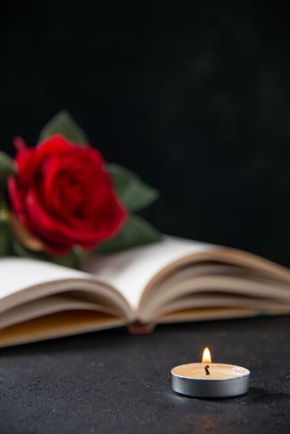 花束在黑暗中打开书本看到红花的前视图花瓣打蜡情人节